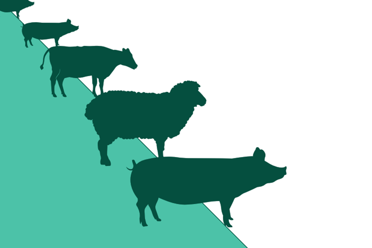 Innovating In Times Of Scarcity